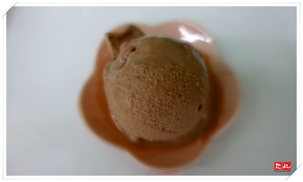 冰淇淋粉-巧克力風味(I001C-C)